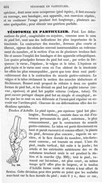 Fig. 356 - Traité de médecine opératoire, bandages et appareils. 4è éd. Tome second