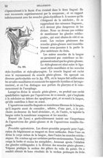 Fig. 372 - Traité de médecine opératoire, bandages et appareils. 4è éd. Tome premier