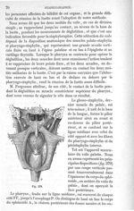 Fig. 379 - Traité de médecine opératoire, bandages et appareils. 4è éd. Tome premier