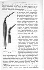 Fig. 414 - Traité de médecine opératoire, bandages et appareils. 4è éd. Tome premier