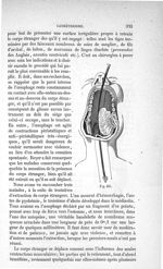 Fig. 466 - Traité de médecine opératoire, bandages et appareils. 4è éd. Tome premier