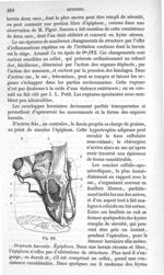 Fig. 514 - Traité de médecine opératoire, bandages et appareils. 4è éd. Tome premier