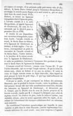 Fig. 538 - Traité de médecine opératoire, bandages et appareils. 4è éd. Tome premier