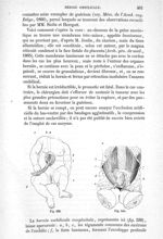 Fig. 539., Fig. 540 - Traité de médecine opératoire, bandages et appareils. 4è éd. Tome premier