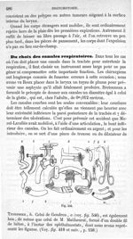 Fig. 546 - Traité de médecine opératoire, bandages et appareils. 4è éd. Tome premier