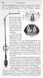 Fig. 549., Fig. 550 - Traité de médecine opératoire, bandages et appareils. 4è éd. Tome premier