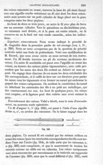 Fig. 552 - Traité de médecine opératoire, bandages et appareils. 4è éd. Tome premier