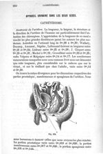 Fig. 578 - Traité de médecine opératoire, bandages et appareils. 4è éd. Tome premier
