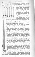 Fig. 595 à Fig. 602 - Traité de médecine opératoire, bandages et appareils. 4è éd. Tome premier
