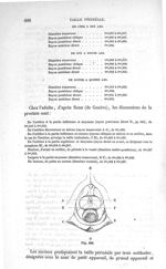 Fig. 669 - Traité de médecine opératoire, bandages et appareils. 4è éd. Tome premier
