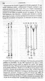 Fig. 695 à Fig. 702 - Traité de médecine opératoire, bandages et appareils. 4è éd. Tome premier