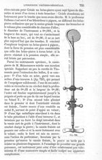 Fig. 723. Robert et Collin - Traité de médecine opératoire, bandages et appareils. 4è éd. Tome premi [...]