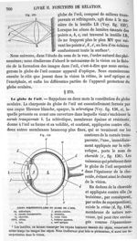Fig. 135 / Fig. 136. Coupe perpendiculaire du globe de l'oeil - Traité élémentaire de physiologie hu [...]