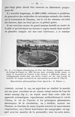 Fig. 2. La station physiologique du parc des princes, laboratoire annexe du collège de France, en 18 [...]