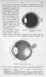 Fig. 268. Section verticale du globe de l'oeil. Fig. 269. Coupe du globe oculaire - Anatomie et phys [...]