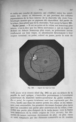Fig. 282. Aspect du fond de l'oeil - Anatomie et physiologie animales, par Mathias Duval,... et Paul [...]