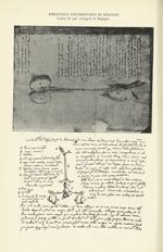 [Exposition de Turin, 1898] Biblioteca Universitaria di Bologna Codice N. 936. Autografi di Malpighi [...]