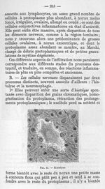 Fig. 15 - Histolyse - La poliomyélite épidémique (maladie de Heine-Médin). Travail du service de M.  [...]
