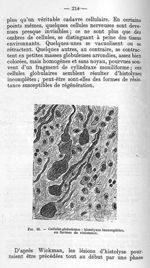 Fig. 16 - Cellules globuleuses : histolyses incomplètes ou formes de résistance - La poliomyélite ép [...]