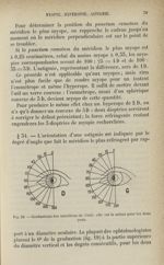 Fig. 19. - Graduations des méridiens de l'oeil; elle est la même pour les deux yeux - Myopie, hypero [...]