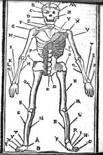 [squelette] - [Articella] Contient dans la même reliure : Liber Ysagoge Iohannici, Ad thegni Galieni [...]
