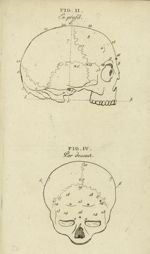 Fig II En profil  - Fig IV Par-dessus - Lettre de Charles Villers à Georges Cuvier ... sur une nouve [...]