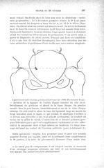 Laparotomie latérale sous-péritonéale le 9 janvier 1908 (Professeur Pozzi) - Bulletins et mémoires d [...]