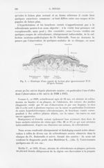 Fig. 5. — Histologie d’une papule de lichen plan (Grossissement 37/1) (d’après darier) - Annales de  [...]