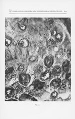 Fig. 9. — Appareil filamenteux des cellules malpighiennes dans l'épiderme d'une Maladie de Bowen, au [...]