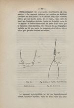 Fig. 19. Hyoïde homme / Fig. 20. (D'après Geoffroy-Saint-Hilaire). Ap. hy. du canard - Des arcs bran [...]