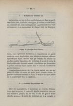 Figure 22. (Georges-Saint-Hilaire) - Des arcs branchiaux chez l'homme