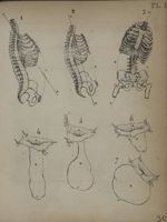 Planche I - Recherches sur les causes et l'anatomie des hernies abdominales ; thèse soutenue pubique [...]