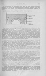 Fig. 1 - L'Odontologie