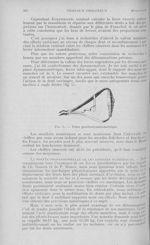 Fig. 5. — Pince gnathodynamométrique - L'Odontologie