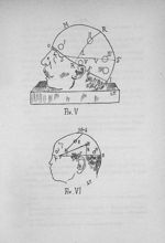 Fig. 5. et Fig. 6. [Crânes rasés d'adulte et d'enfant avec le tracé des lignes destinées à établir l [...]