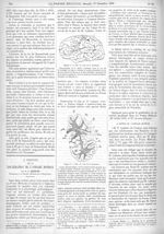 Fig. 1. Topographie de la lésion corticale dans le cas de P. Ladame / Fig. 2. Coupe microscopique ve [...]