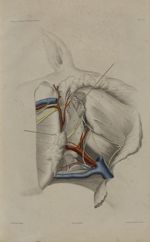 Pl. 4. Région parotidienne profonde (cheval) - Anatomie chirurgicale des principaux animaux domestiq [...]