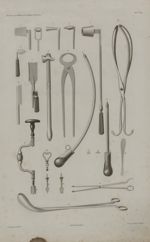 Pl. 29. Instruments chirurgicaux - Anatomie chirurgicale des principaux animaux domestiques : atlas  [...]