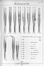XIX. Instruments pour l'oeil. 1825 Pince à fixer de Wecker, mors en ivoire, sans ressort. 1826 Pince [...]