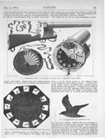 Fig. 2. Mechanism of gun / Fig. 3. Sea-gull, flying, heliograph of twelve plates obtained by the pro [...]