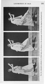 Fig. 121. Successive attitudes of a Greek dance, the influence of the movement on the fall of the dr [...]