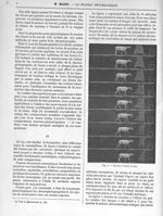 Fig. 5. Mouton à l'allure d'un pas - La station physiologique de Paris (2) - Revue scientifique