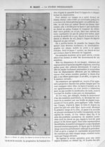 Fig. 6. Cheval au galop - La station physiologique de Paris (2) - Revue scientifique