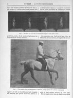 Fig. 7. Cheval au trot vu de face / Fig. 8. Une image du cheval au galop agrandie à 5 diamètres - La [...]