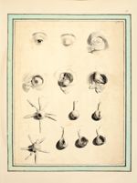 De haut en bas et de gauche à droite : Vue extérieure de l'oeil (4 figures) / Les muscles des yeux ( [...]