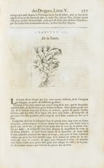 Soude - Histoire générale des drogues, traitant des plantes, des animaux, & des mineraux ; ouvrage e [...]
