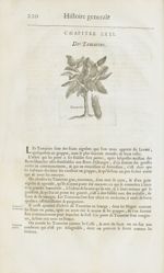 Tamarins - Histoire générale des drogues, traitant des plantes, des animaux, & des mineraux ; ouvrag [...]