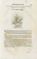 G. adragant - Histoire générale des drogues, traitant des plantes, des animaux, & des mineraux ; ouv [...]