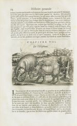 Elephant / Rhinoceros - Histoire générale des drogues, traitant des plantes, des animaux, & des mine [...]