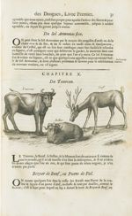 Taureau / Bellier / Cerf - Histoire générale des drogues, traitant des plantes, des animaux, & des m [...]